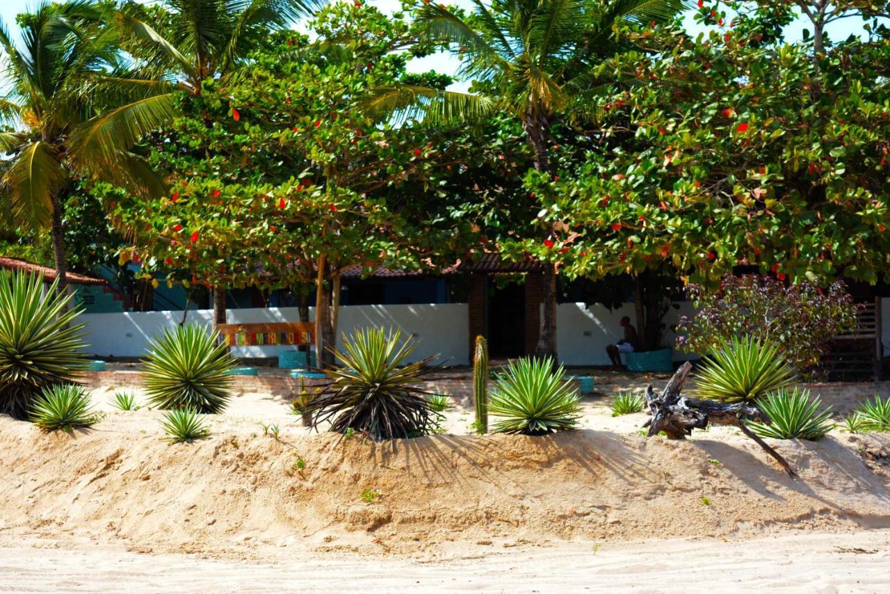 Hostel America Do Sul Jericoacoara Eksteriør billede